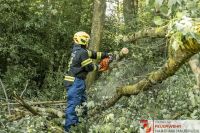 _2026-06-04 Baum über Strasse B141 Pramwald-1653